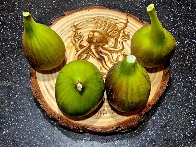 Artistic octopus design laser-engraved on a pine wood slice with live edge featuring figs from our Bord Du Lac Artisan garden