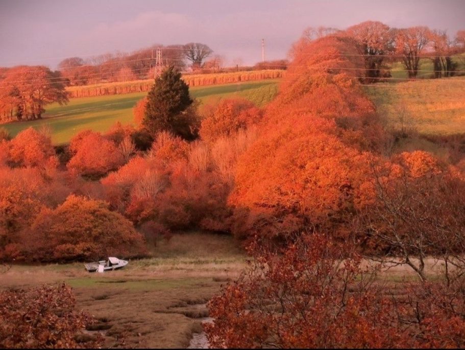 Stunning autumn landscape photography by the lake for Bord Du Lac Artisans.
